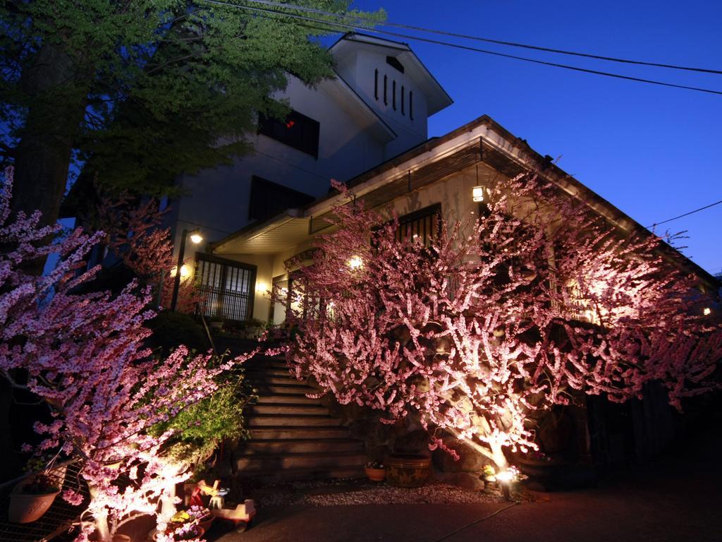 Iwashita Onsen Ryokan Kai Extérieur photo
